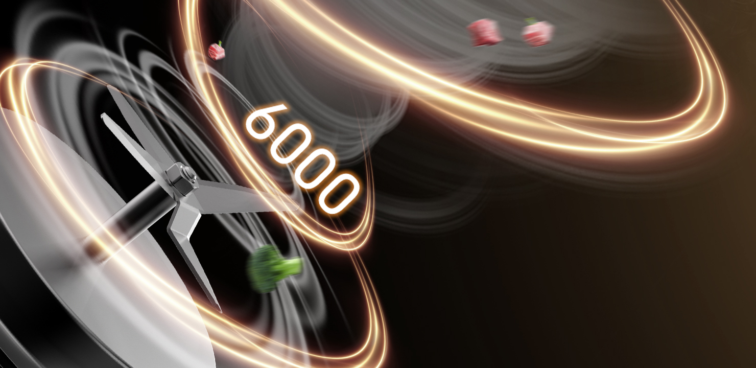 无惧“回南天”